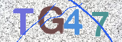 codice di verifica