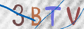 codice di verifica